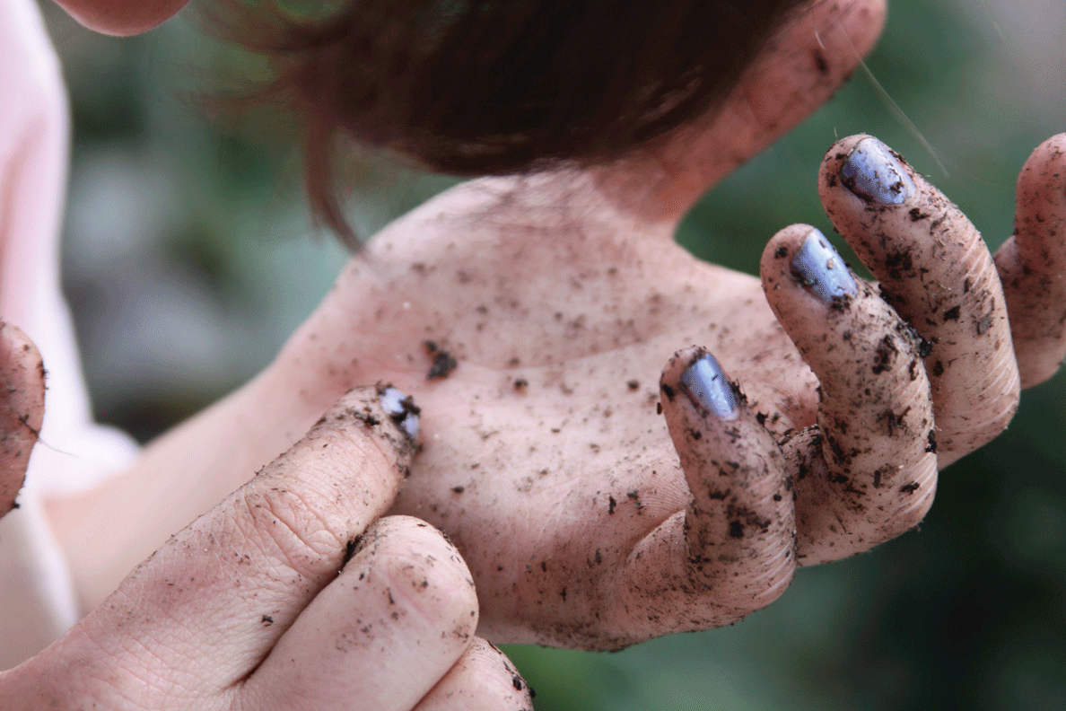 kids hands in soil spore lore children learning outdoors