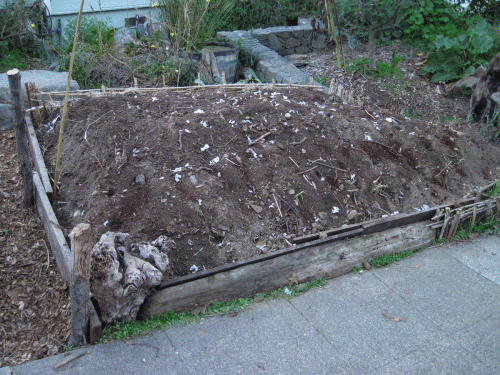 Straw Bale Recliner Veggie Bed planted with garlic, yellow onion, and shallots.
