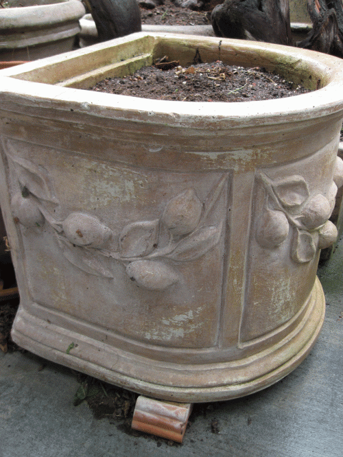 Lemon Pot with hugelkultur layer under soil.
