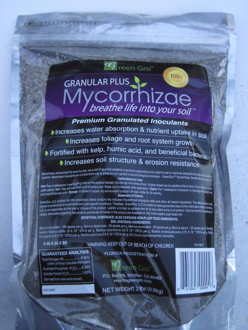 Mycorrhizae to dust seeds before planting