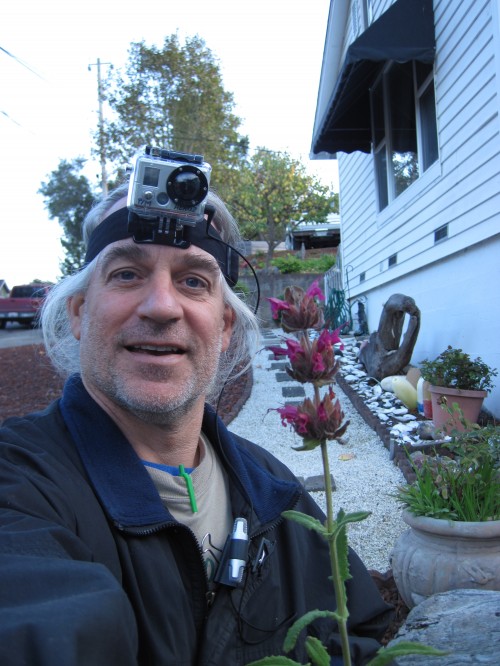 Hummingbird sage (Salvia spathacea) shows off Tony and his camera gear before being planted.