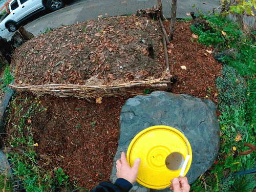 A look inside the watering can ready for application.