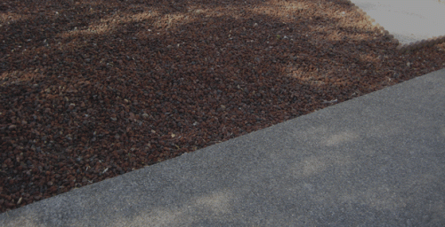 The property line along our driveway in 2008 -- not much animal habitat!