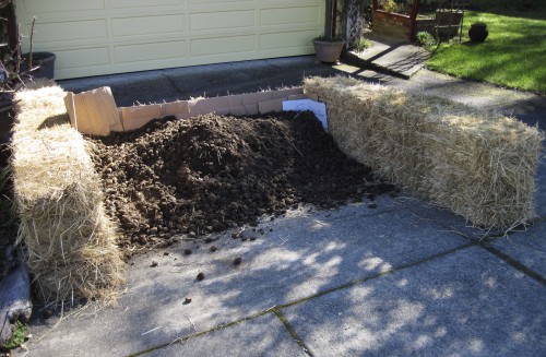 Early stage of manure and compost bin.