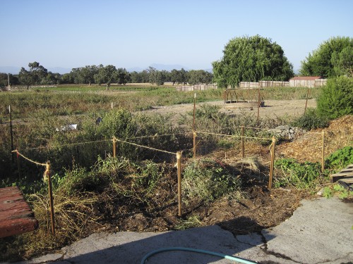 spore lore, habitat it and they will come, tony mcguigan, habitat garden, wildlife habitat, soil, soil under my nails, gardening, gardens, native plants, permaculture, wildlife garden, environmental education, ecological landscaping, compost, cricket, corral, buried wood, hugelkultur, native bees, native pollinators, Laguna de Santa Rosa, Laguna Foundation, Orchard View School, fir posts, oak logs