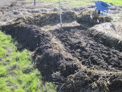 topsoil thrown onto the berm