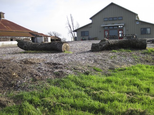 Heron Hall Logs East (L) and West (R)