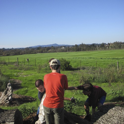 0- Habitat Landscaper-Instructor for hire — Tony McGuigan — international consulting available — install@sporelore.com , Tony McGuigan, Habitat it!, Spore Lore©, Habitat It And They Will Come, garden, soil, soil microbes, Soil Under My Nails, gardening, gardens, native plants, permaculture, wildlife garden, wildlife habitat installation, environmental education, ecological landscaping, Animal Habitat, garden, ecological, landscaping, wildlife garden, biodiversity, native plants, how to build wildlife habitat, outdoor classroom, nonvirtual education, touch the soil!, wildlife habitat workshop, Orchard View School, Sunny Galbraith, Laguna Environmental Center, Laguna de Santa Rosa Foundation, environmental conservation,  Stone Farm, Anita Smith, western fence lizard, redwood, Cold Water Canyon rock, avocado leaves, bamboo leaves, woodchip mulch, compost, torrent sedge, weeding, millipede, Jerusalem cricket, meadow barley, Hordeum brachyantherum, garter snake, genus Thamnophis