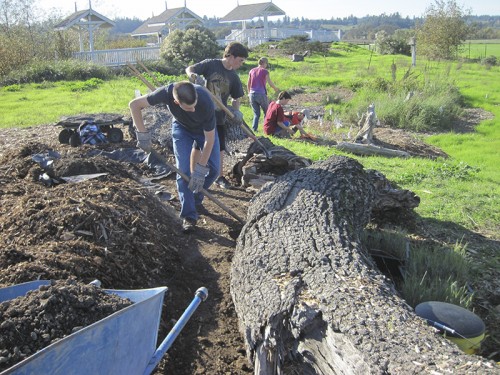 0- Habitat Landscaper-Instructor for hire — Tony McGuigan — international consulting available — install@sporelore.com , Tony McGuigan, Habitat it!, Spore Lore©, Habitat It And They Will Come, garden, soil, soil microbes, Soil Under My Nails, gardening, gardens, native plants, permaculture, wildlife garden, wildlife habitat installation, environmental education, ecological landscaping, Animal Habitat, garden, ecological, landscaping, wildlife garden, biodiversity, native plants, how to build wildlife habitat, spore lore, sporelore, sporelore.com, outdoor classroom, nonvirtual education, touch the soil!, wildlife habitat workshop, Orchard View School, Sunny Galbraith, Laguna Environmental Center, Laguna de Santa Rosa Foundation, environmental conservation,  Stone Farm, Anita Smith, Dark Soil Light Wood Saddleback, Cold Water Canyon rock, woodchip mulch, compost, straw bales, bird perch, Garter Snake Ravine, Cookie Monster Perch, ABS perforated corrugated drainpipe, adobe soil, berm, swale, posthole digger, meadow barley, Hordeum brachyantherum