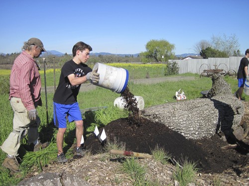 0- Habitat Landscaper-Instructor for hire — Tony McGuigan — international consulting available — install@sporelore.com , Tony McGuigan, Habitat it!, Spore Lore©, Habitat It And They Will Come, garden, soil, soil microbes, Soil Under My Nails, gardening, gardens, native plants, permaculture, wildlife garden, wildlife habitat installation, environmental education, ecological landscaping, Animal Habitat, garden, ecological, landscaping, wildlife garden, biodiversity, native plants, how to build wildlife habitat, spore lore, sporelore, sporelore.com, outdoor classroom, nonvirtual education, touch the soil!, wildlife habitat workshop, Orchard View School, Sunny Galbraith, Laguna Environmental Center, Laguna de Santa Rosa Foundation, environmental conservation,  Stone Farm, Anita Smith, Dark Soil Light Wood Saddleback, Cold Water Canyon rock, woodchip mulch, compost, straw bales, bird perch, Garter Snake Ravine, Cookie Monster Perch, ABS perforated corrugated drainpipe, adobe soil, berm, swale, posthole digger, meadow barley, Hordeum brachyantherum