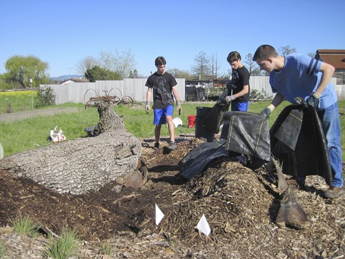 0- Habitat Landscaper-Instructor for hire — Tony McGuigan — international consulting available — install@sporelore.com , Tony McGuigan, Habitat it!, Spore Lore©, Habitat It And They Will Come, garden, soil, soil microbes, Soil Under My Nails, gardening, gardens, native plants, permaculture, wildlife garden, wildlife habitat installation, environmental education, ecological landscaping, Animal Habitat, garden, ecological, landscaping, wildlife garden, biodiversity, native plants, how to build wildlife habitat, spore lore, sporelore, sporelore.com, outdoor classroom, nonvirtual education, touch the soil!, wildlife habitat workshop, Orchard View School, Sunny Galbraith, Laguna Environmental Center, Laguna de Santa Rosa Foundation, environmental conservation,  Stone Farm, Anita Smith, Dark Soil Light Wood Saddleback, Cold Water Canyon rock, woodchip mulch, compost, straw bales, bird perch, Garter Snake Ravine, Cookie Monster Perch, ABS perforated corrugated drainpipe, adobe soil, berm, swale, posthole digger, meadow barley, Hordeum brachyantherum