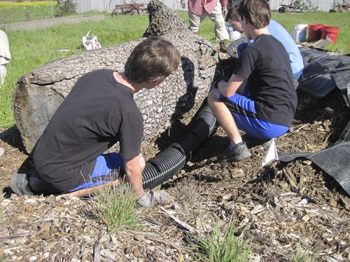 0- Habitat Landscaper-Instructor for hire — Tony McGuigan — international consulting available — install@sporelore.com , Tony McGuigan, Habitat it!, Spore Lore©, Habitat It And They Will Come, garden, soil, soil microbes, Soil Under My Nails, gardening, gardens, native plants, permaculture, wildlife garden, wildlife habitat installation, environmental education, ecological landscaping, Animal Habitat, garden, ecological, landscaping, wildlife garden, biodiversity, native plants, how to build wildlife habitat, spore lore, sporelore, sporelore.com, outdoor classroom, nonvirtual education, touch the soil!, wildlife habitat workshop, Orchard View School, Sunny Galbraith, Laguna Environmental Center, Laguna de Santa Rosa Foundation, environmental conservation,  Stone Farm, Anita Smith, Dark Soil Light Wood Saddleback, Cold Water Canyon rock, woodchip mulch, compost, straw bales, bird perch, Garter Snake Ravine, Cookie Monster Perch, ABS perforated corrugated drainpipe, adobe soil, berm, swale, posthole digger, meadow barley, Hordeum brachyantherum