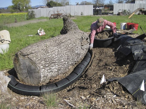 0- Habitat Landscaper-Instructor for hire — Tony McGuigan — international consulting available — install@sporelore.com , Tony McGuigan, Habitat it!, Spore Lore©, Habitat It And They Will Come, garden, soil, soil microbes, Soil Under My Nails, gardening, gardens, native plants, permaculture, wildlife garden, wildlife habitat installation, environmental education, ecological landscaping, Animal Habitat, garden, ecological, landscaping, wildlife garden, biodiversity, native plants, how to build wildlife habitat, spore lore, sporelore, sporelore.com, outdoor classroom, nonvirtual education, touch the soil!, wildlife habitat workshop, Orchard View School, Sunny Galbraith, Laguna Environmental Center, Laguna de Santa Rosa Foundation, environmental conservation,  Stone Farm, Anita Smith, Dark Soil Light Wood Saddleback, Cold Water Canyon rock, woodchip mulch, compost, straw bales, bird perch, Garter Snake Ravine, Cookie Monster Perch, ABS perforated corrugated drainpipe, adobe soil, berm, swale, posthole digger, meadow barley, Hordeum brachyantherum