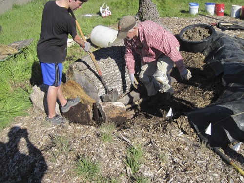 0- Habitat Landscaper-Instructor for hire — Tony McGuigan — international consulting available — install@sporelore.com , Tony McGuigan, Habitat it!, Spore Lore©, Habitat It And They Will Come, garden, soil, soil microbes, Soil Under My Nails, gardening, gardens, native plants, permaculture, wildlife garden, wildlife habitat installation, environmental education, ecological landscaping, Animal Habitat, garden, ecological, landscaping, wildlife garden, biodiversity, native plants, how to build wildlife habitat, spore lore, sporelore, sporelore.com, outdoor classroom, nonvirtual education, touch the soil!, wildlife habitat workshop, Orchard View School, Sunny Galbraith, Laguna Environmental Center, Laguna de Santa Rosa Foundation, environmental conservation,  Stone Farm, Anita Smith, Dark Soil Light Wood Saddleback, Cold Water Canyon rock, woodchip mulch, compost, straw bales, bird perch, Garter Snake Ravine, Cookie Monster Perch, ABS perforated corrugated drainpipe, adobe soil, berm, swale, posthole digger, meadow barley, Hordeum brachyantherum