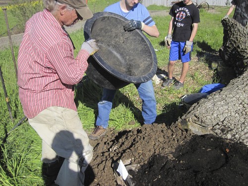 0- Habitat Landscaper-Instructor for hire — Tony McGuigan — international consulting available — install@sporelore.com , Tony McGuigan, Habitat it!, Spore Lore©, Habitat It And They Will Come, garden, soil, soil microbes, Soil Under My Nails, gardening, gardens, native plants, permaculture, wildlife garden, wildlife habitat installation, environmental education, ecological landscaping, Animal Habitat, garden, ecological, landscaping, wildlife garden, biodiversity, native plants, how to build wildlife habitat, spore lore, sporelore, sporelore.com, outdoor classroom, nonvirtual education, touch the soil!, wildlife habitat workshop, Orchard View School, Sunny Galbraith, Laguna Environmental Center, Laguna de Santa Rosa Foundation, environmental conservation,  Stone Farm, Anita Smith, Dark Soil Light Wood Saddleback, Cold Water Canyon rock, woodchip mulch, compost, straw bales, bird perch, Garter Snake Ravine, Cookie Monster Perch, ABS perforated corrugated drainpipe, adobe soil, berm, swale, posthole digger, meadow barley, Hordeum brachyantherum