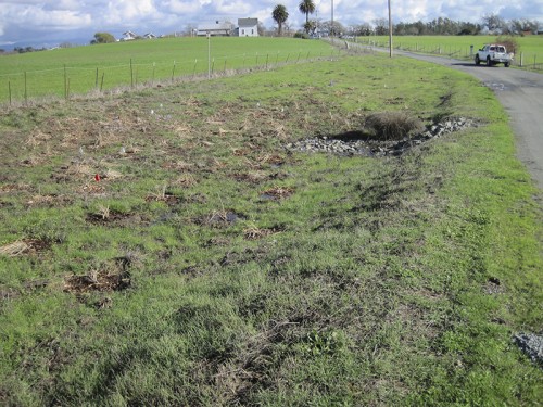 east view -- Laguna Foundation, Santa Rosa