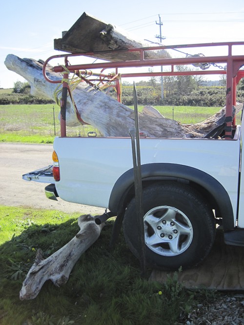 Habitat Landscaper -- Tony McGuigan