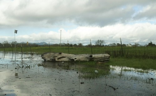 Photo courtesy of Brent Reed Kayaking Tours