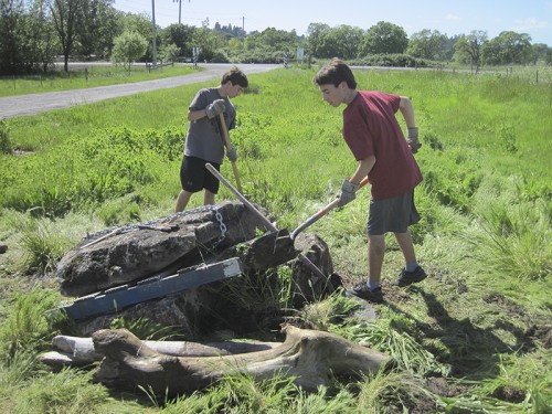 Dig a hole, make a mound.