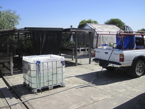 native plant nursery